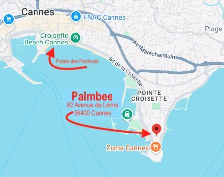 70m2, 2 Pour 4 Pers Avec Terrasses A 200m Des Plages, Palmbee Apartment Cannes